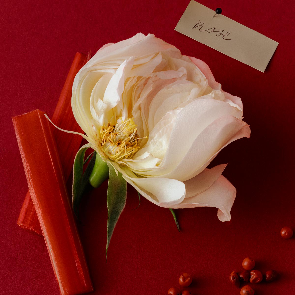 How To Find Your Signature Scent