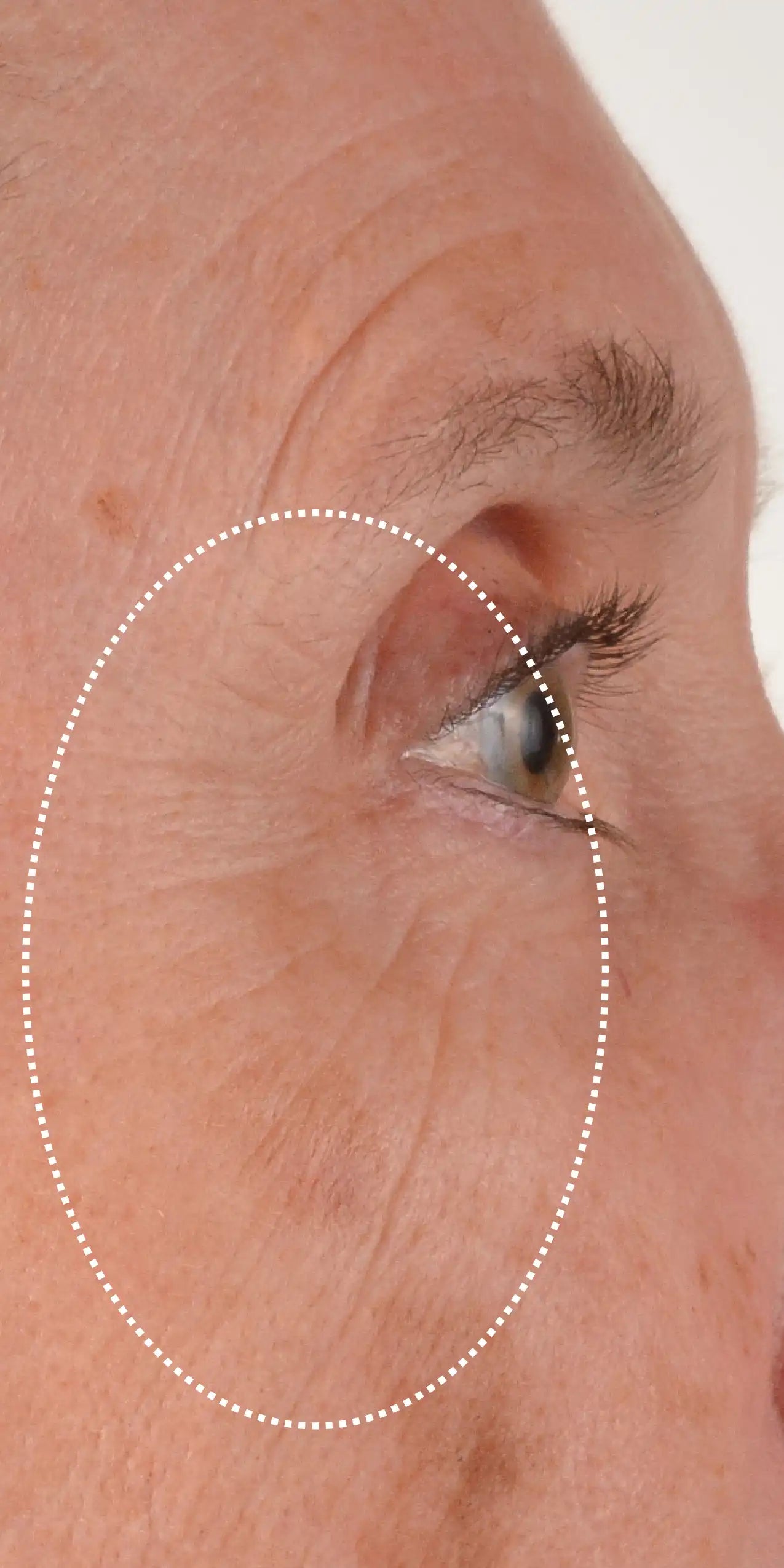 Alt text not provided for this image