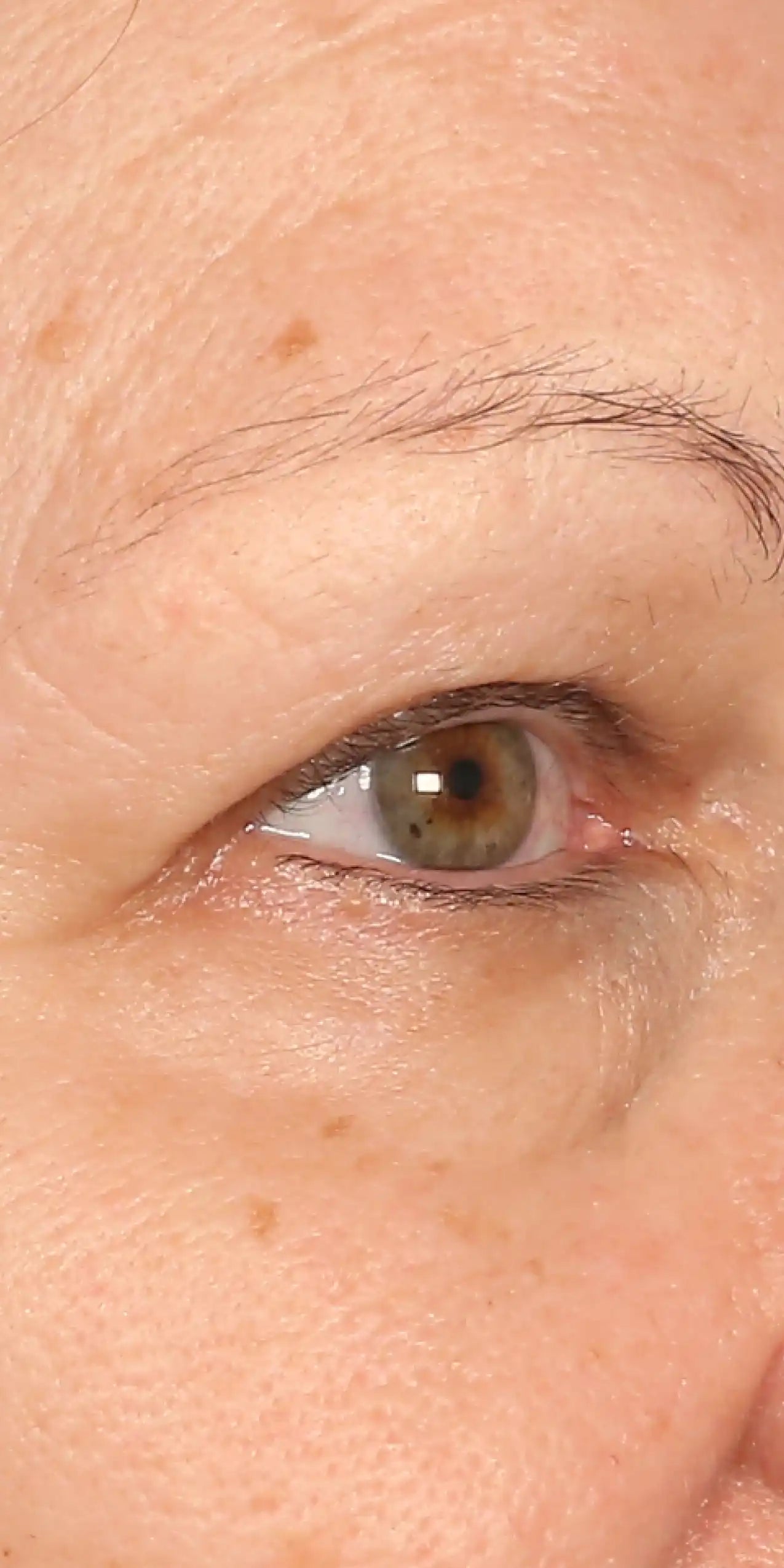 Alt text not provided for this image