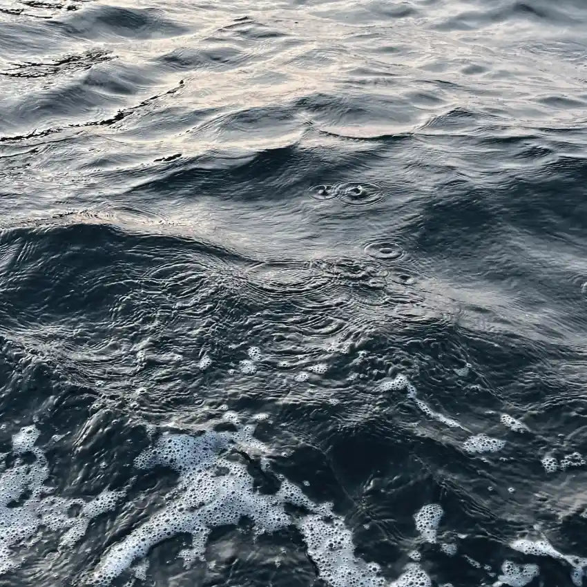 Alt text not provided for this image