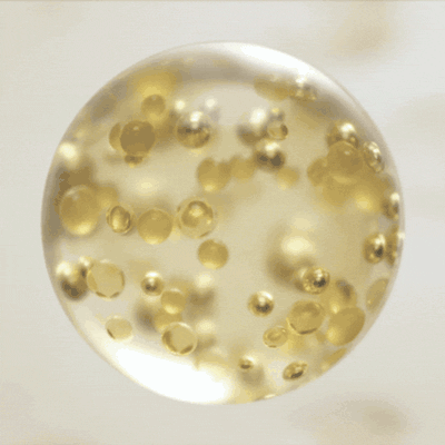 Alt text not provided for this image