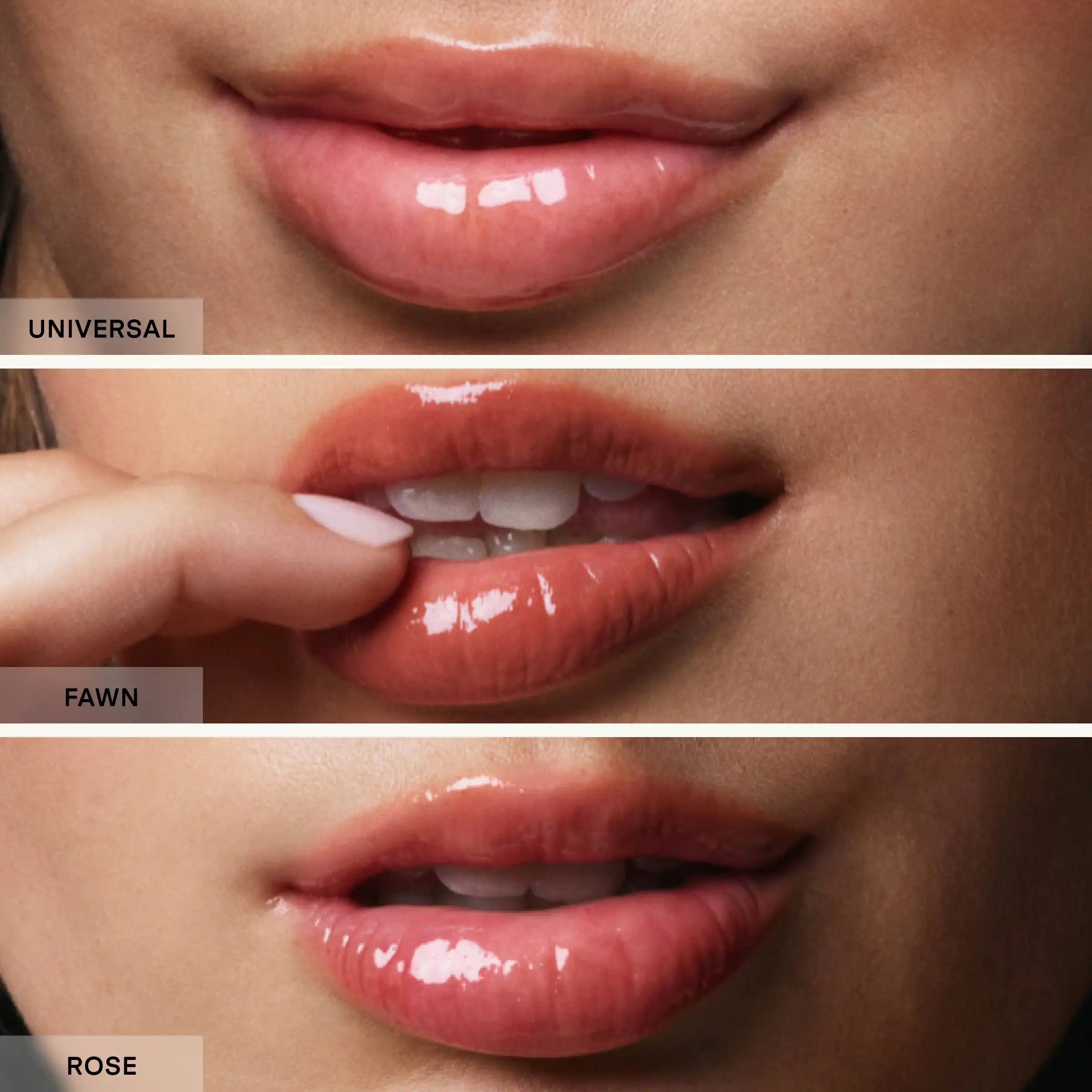 Three lip swatches showing Universal nude pink, Fawn coral, and Rose mauve shades with glossy finish.